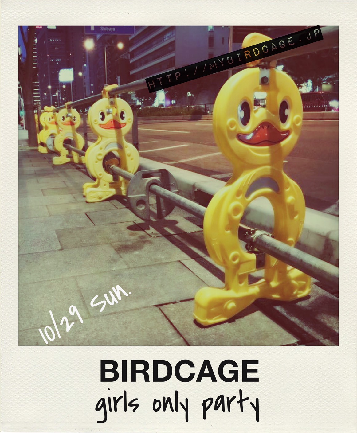 birdcage5th
